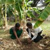 72 වන නිදහස් දින සැමරුම