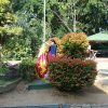 72 වන නිදහස් දින සැමරුම