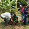 72 වන නිදහස් දින සැමරුම