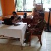 ලේ දන්දීම