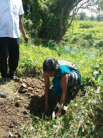 “හැදෙන රටට වැඩෙන ගසක් “රුක් රෝපණ වැඩසටහන
