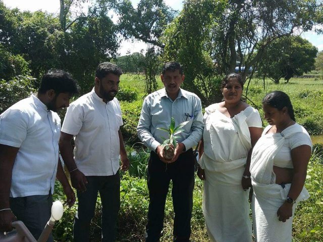 “හැදෙන රටට වැඩෙන ගසක් “රුක් රෝපණ වැඩසටහන