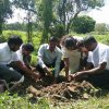 “හැදෙන රටට වැඩෙන ගසක් “රුක් රෝපණ වැඩසටහන